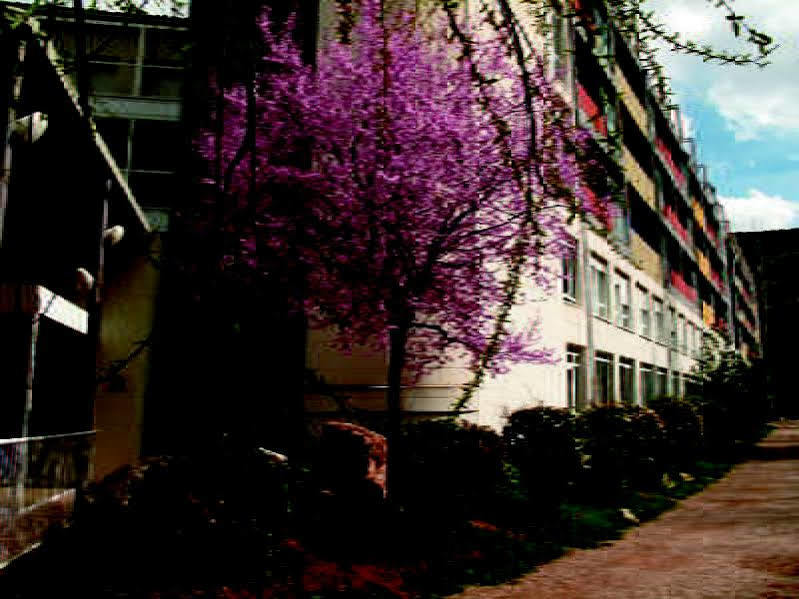 Hotel Balneario Sicilia Jaraba Exterior photo